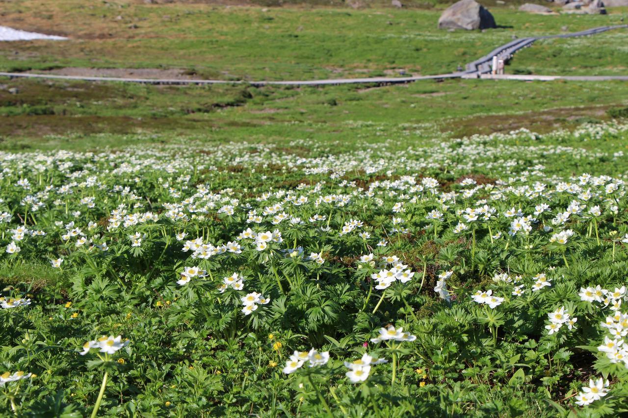 北极星高山住宿加早餐旅馆 松本 外观 照片